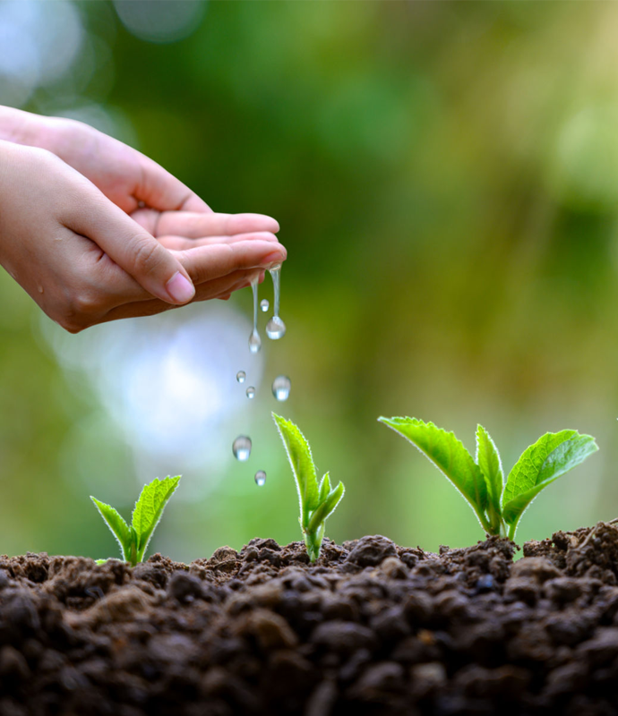 53ffdfaed50fe931f74ea74dccec4e9e