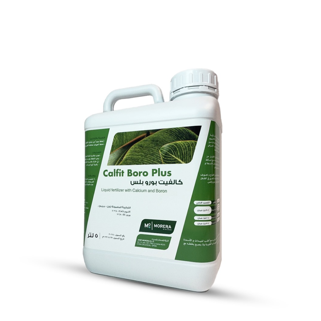 Calfit Boro Plus - Mondial